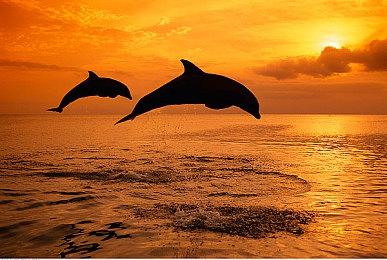 二次元开放世界《代号：无限大》8月24日全球首曝！ 